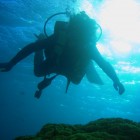 次に潜る時にはしっかりきれいなお魚を撮るぞと決心