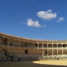 スペインで最初に闘牛が行われたとかで、見学者もちらほら