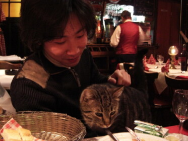 和田さんもネコ派