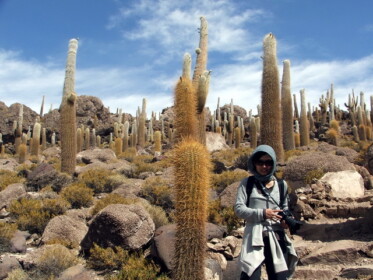 たくさんのサボテン