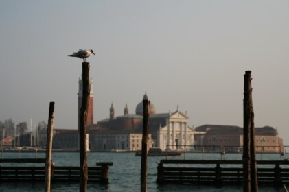 サン・マルコ運河にて