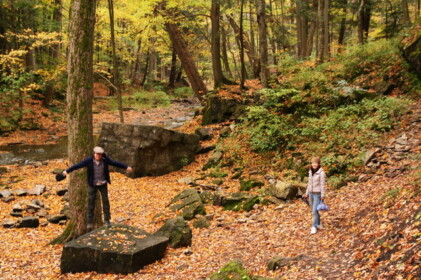 近所の公園を散歩　
