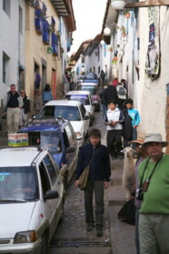 カメラ目線のリャマ