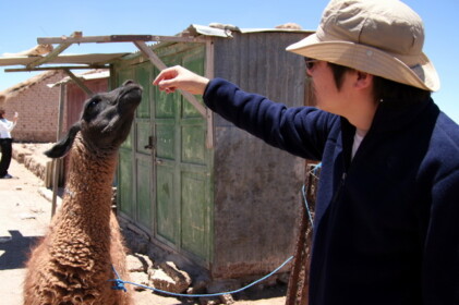 リャマとこーへー