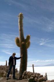 触っても痛くない？