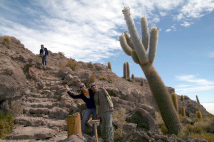 形も面白いサボテン
