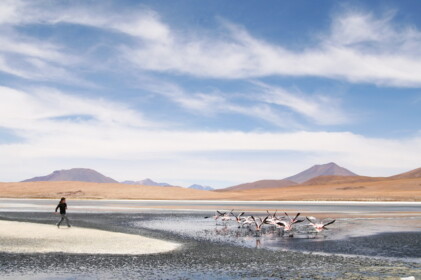 カオリさんとフラミンゴの群れ