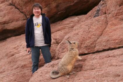 ビスカチャとこーへー