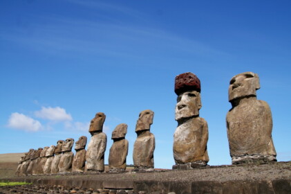 みんな個性的な顔