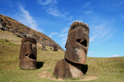 体は土に埋れている