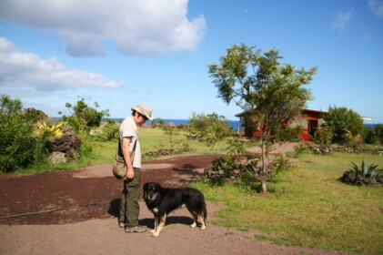 ワンちゃんとこーへー