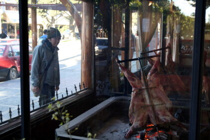 ヒツジを見つめるこーへー