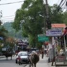 ポカラのメインストリート