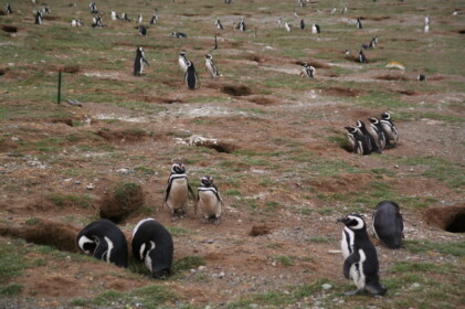 みんなカップル