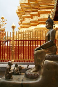 猿と象もお祈り