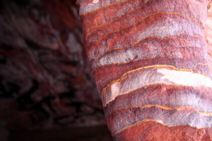 ぺトラ特有の岩の模様