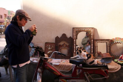 マラケシュのネコ1