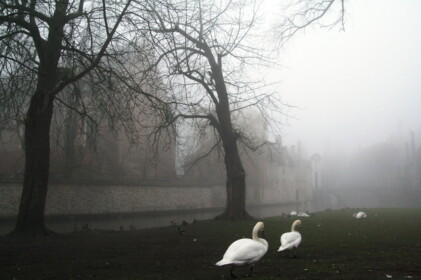 霧が似合う風景