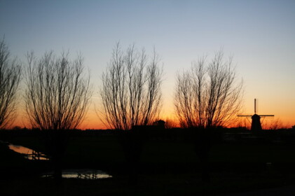 夕暮れのシルエット