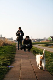 ネコと遊んだり