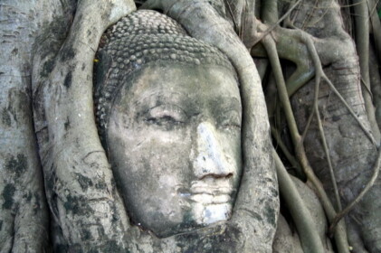 神秘的な微笑み