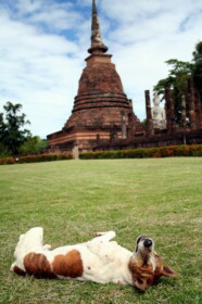 スコータイも暑いっ！