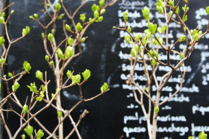 もうすぐ春です