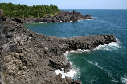 大浦海岸柱状節埋帯