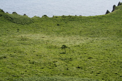 城山日出峰の頂上