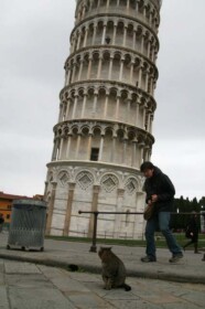 ピサのネコ