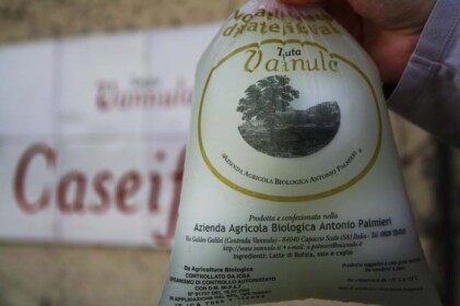 モッツァレラチーズをゲット！