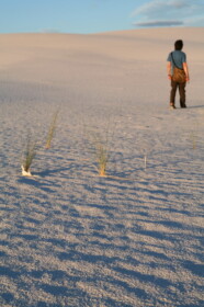 ホワイトサンズ