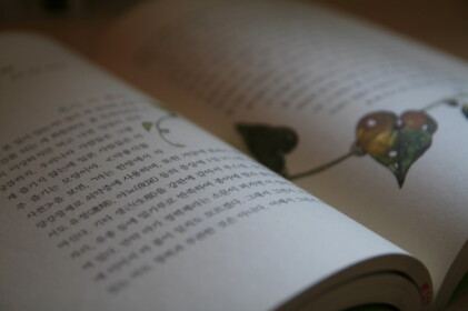 エミーからのプレゼント