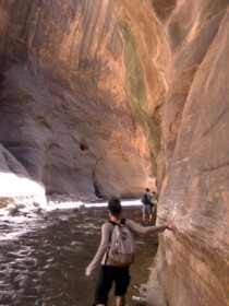 じゃぶじゃぶと歩く