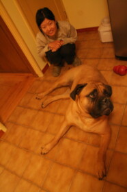 体重はなんと60キロ！