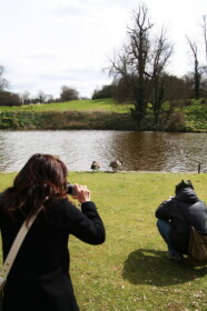 こーへーは鳥に夢中