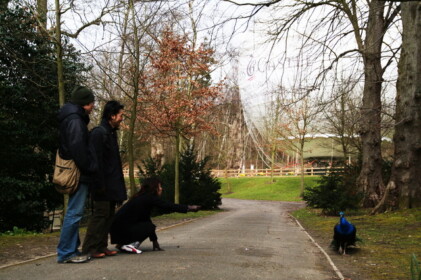 クジャクを誘うエイコ