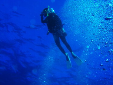 海の生き物に見とれて