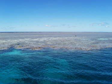 ケアンズといえば