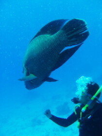 人懐こくて可愛い