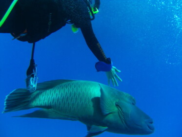 しばらく一緒に遊びました