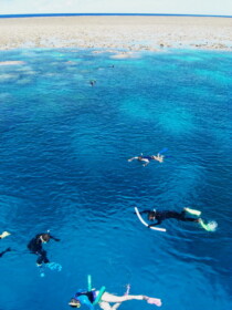 グレートバリアリーフです