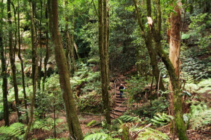 トレッキングに挑戦