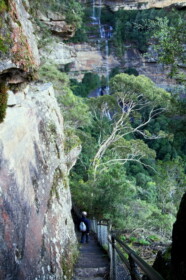 森や滝を巡りながら