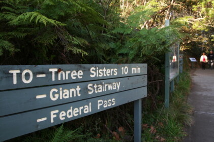 それでも山歩きは楽しい