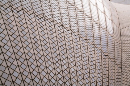 よく見ると真っ白ではない