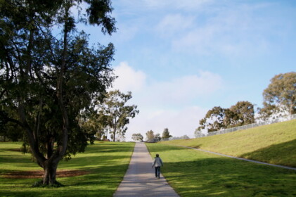 ヒューム湖周辺