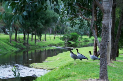 グレードオーシャンロードの宿