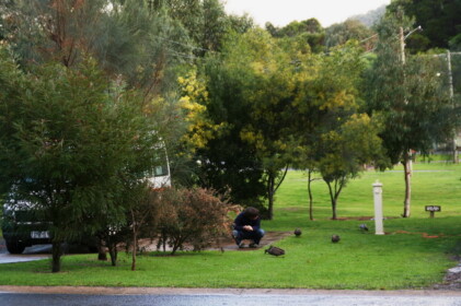 いつも自然に包まれる