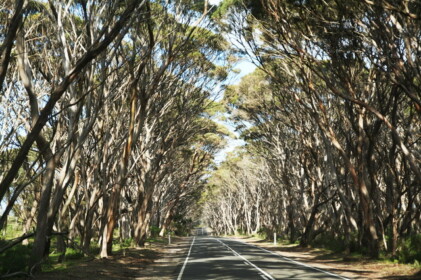 印象に残っている道